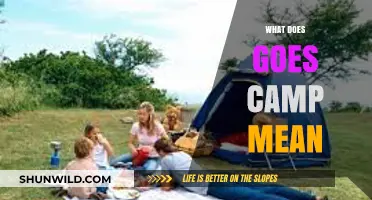 Understanding 'Goes Camp': Decoding the Meaning and Cultural Significance