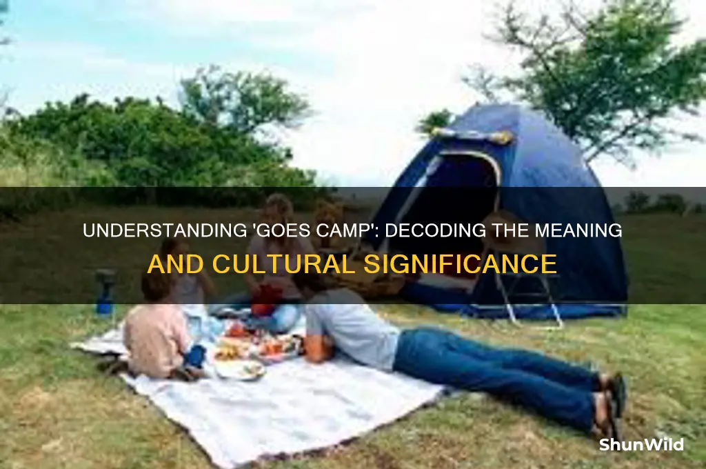 what does goes camp mean