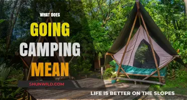 Exploring Nature's Embrace: What Does Going Camping Truly Mean?