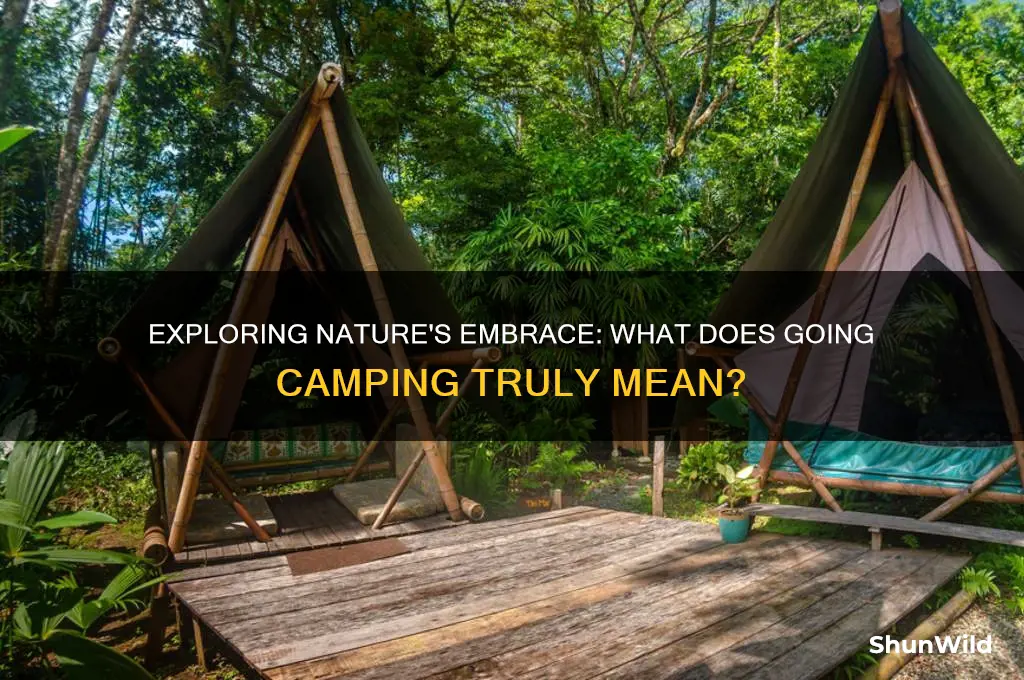 what does going camping mean