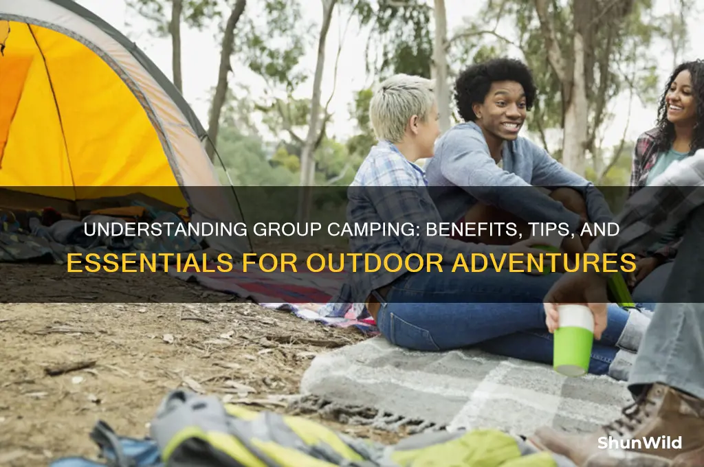 what does group camping mean