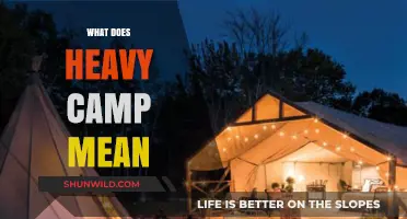 Understanding Heavy Camp: Definition, Origins, and Cultural Significance Explained