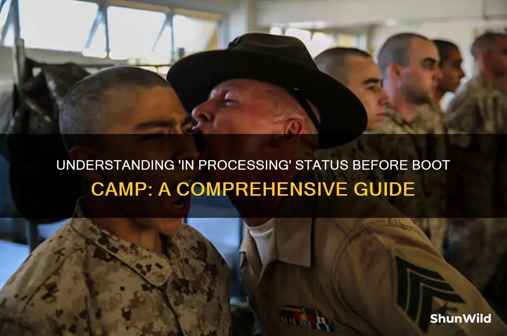 what does in processing mean before boot camp