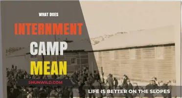 Understanding Internment Camps: History, Impact, and Modern Relevance Explained
