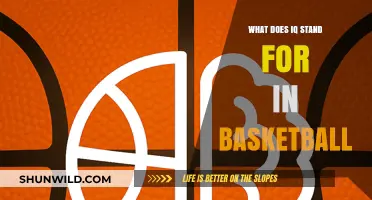 Understanding IQ: Basketball's Intelligence Quotient