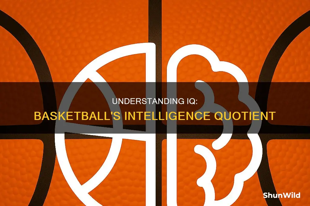 what does iq stand for in basketball