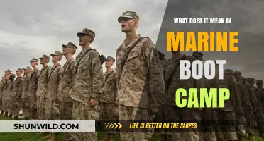 Understanding the Rigors and Transformative Journey of Marine Boot Camp