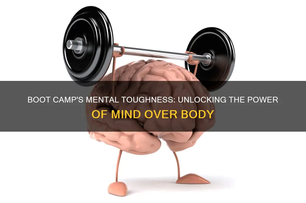 what does it mean that boot camp is all mental