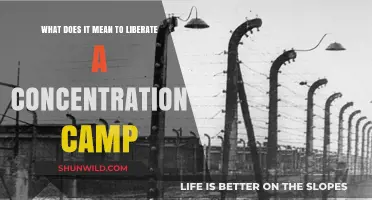 Liberating Concentration Camps: Understanding the Meaning and Impact of Freedom