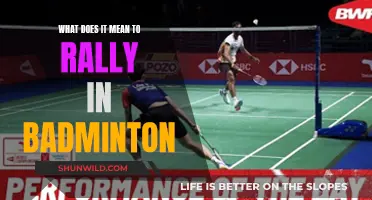 Understanding the Art of Rallying in Badminton