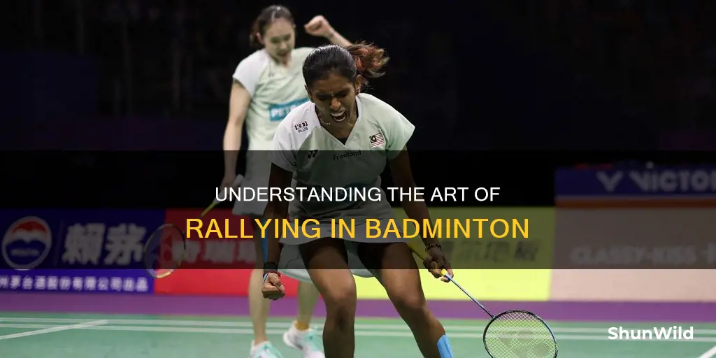 what does it mean to rally in badminton