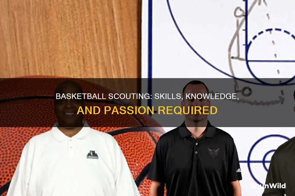 what does it take to become a basketball scout