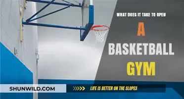 Opening a Basketball Gym: Key Factors for Success