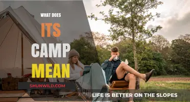 Understanding the Meaning and Cultural Significance of 'It's Camp