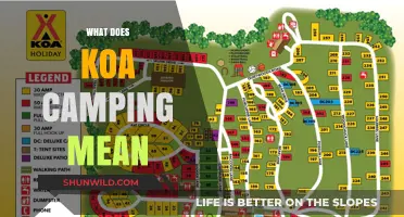 Understanding KOA Camping: A Beginner's Guide to Campground Adventures