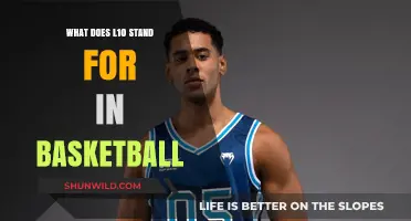 Understanding L10: Basketball's Advanced Performance Metric