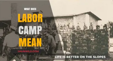 Understanding Labor Camps: Definition, History, and Modern Implications Explained