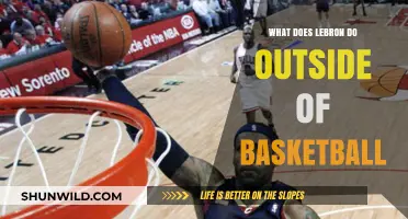 LeBron's Life Beyond Basketball: Hobbies and Other Passions