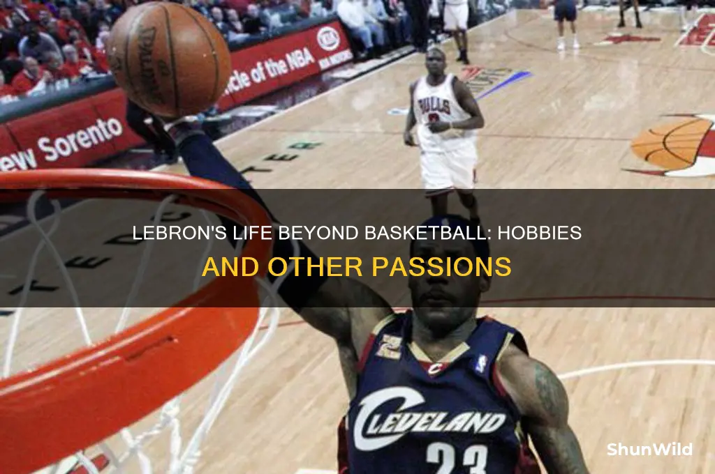 what does lebron do outside of basketball