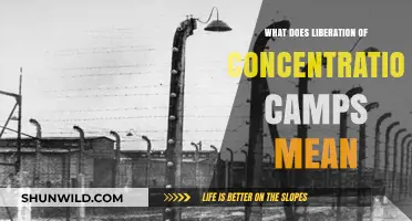 Liberation of Concentration Camps: Unveiling Freedom, Justice, and Historical Significance