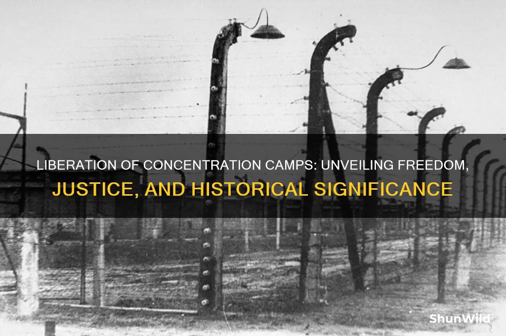what does liberation of concentration camps mean