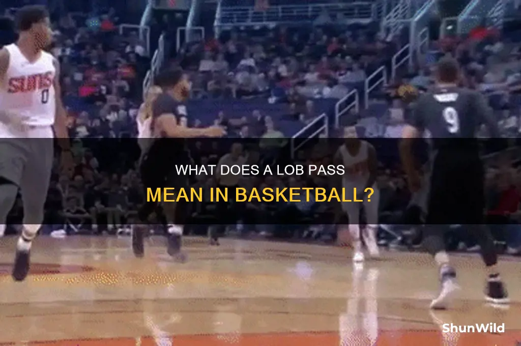 what does lob stand for in basketball