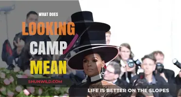 Decoding Camp: Understanding the Bold, Extravagant, and Playful Aesthetic