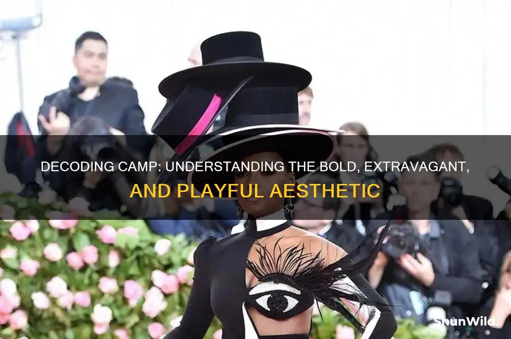 what does looking camp mean