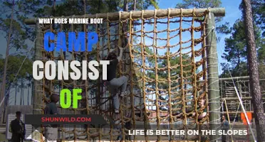 Marine Boot Camp Unveiled: Training, Challenges, and Transformation Explained