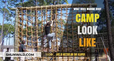 Inside Marine Boot Camp: Rigorous Training, Discipline, and Transformation Explained