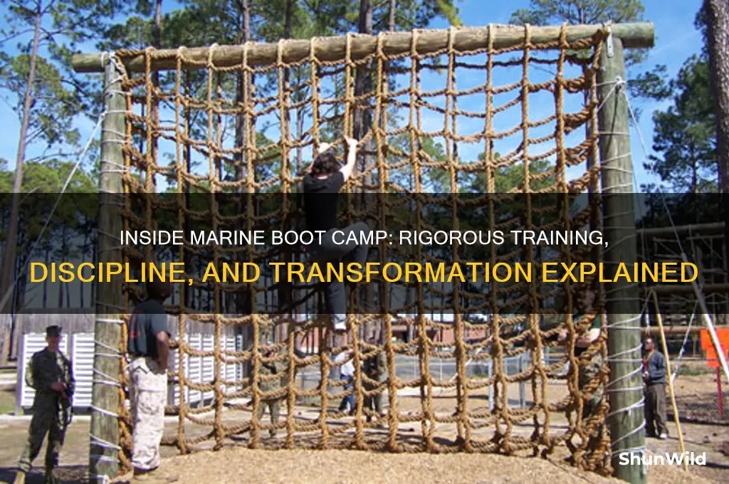 what does marine boot camp look like