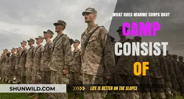 Marine Corps Boot Camp: Training, Challenges, and Transformation Explained