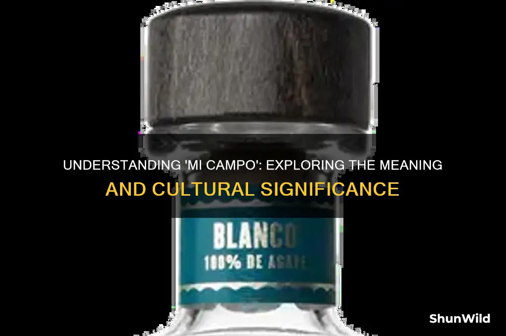 what does mi campo mean