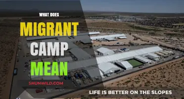 Understanding Migrant Camps: Definition, Purpose, and Global Impact Explained