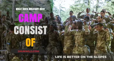 Military Boot Camp: Training, Discipline, and Transformation Explained