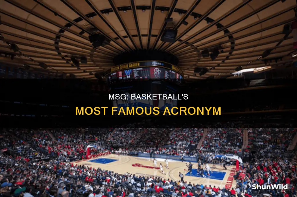 what does msg stand for in basketball
