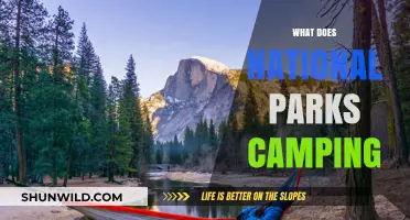Exploring Nature's Wonders: A Guide to National Parks Camping Adventures