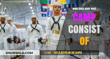 Navy Boot Camp Unveiled: Training, Challenges, and Transformation Explained