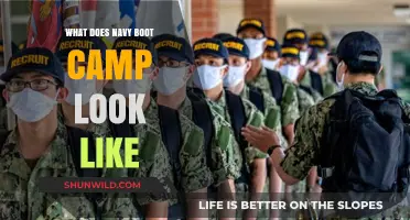 Inside Navy Boot Camp: A Detailed Look at Recruit Training