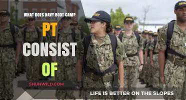Navy Boot Camp PT: Unveiling the Rigorous Physical Training Program