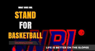 The Meaning of NBL in Basketball Explained
