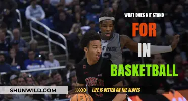 Understanding NIT: Basketball Tournament Acronym Explained