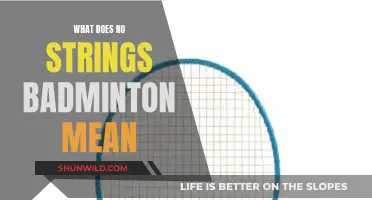 Casual Badminton: No Strings Attached