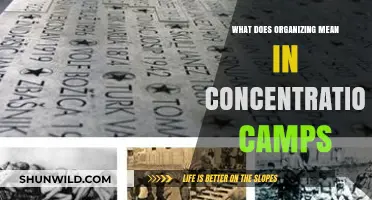 Organizing in Concentration Camps: Survival, Resistance, and Human Resilience