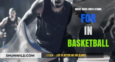 ORTG: Understanding the True Meaning of Offensive Rating in Basketball