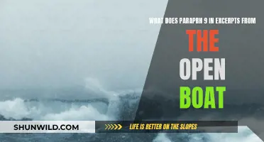 Understanding the Open Boat Excerpt Through Paragraph 9