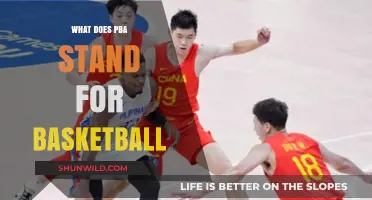 Philippine Basketball Association: What Does PBA Stand For?