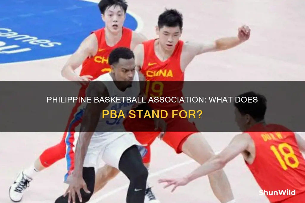 what does pba stand for basketball