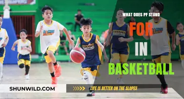 Understanding PF: Basketball's Pivotal Position
