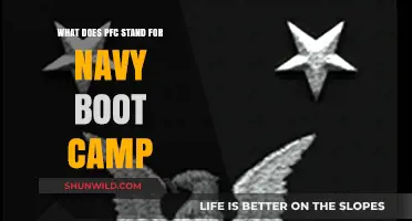Understanding PFC: Navy Boot Camp Rank and Its Significance Explained